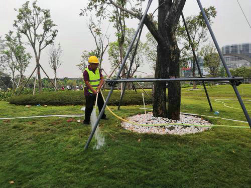 園林養(yǎng)護(hù) (5)