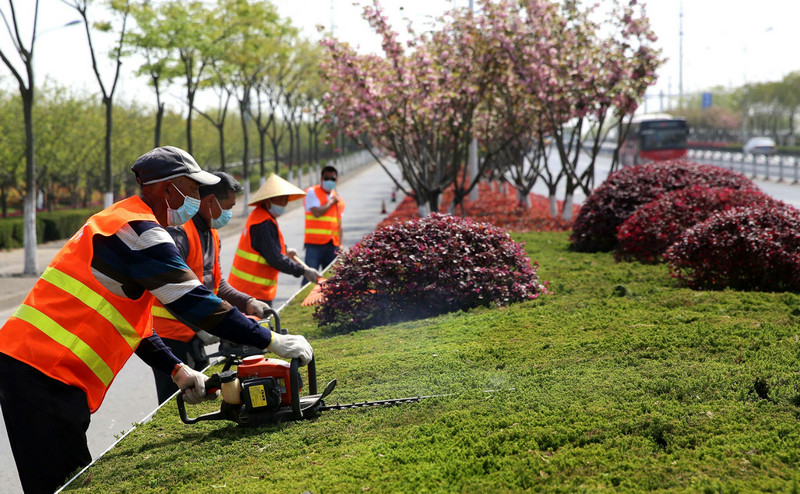 園林養(yǎng)護(hù) (2)