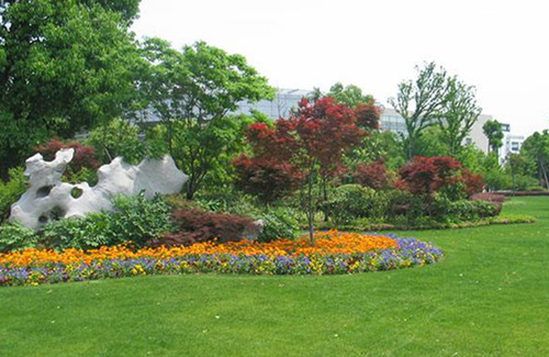 園林綠化養(yǎng)護(hù)的8項(xiàng)主要工作