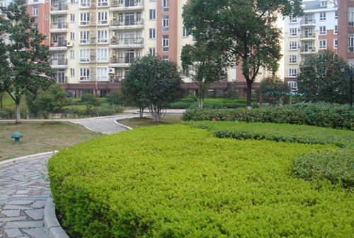 綠化園林養(yǎng)護(hù)的工作內(nèi)容有哪些？