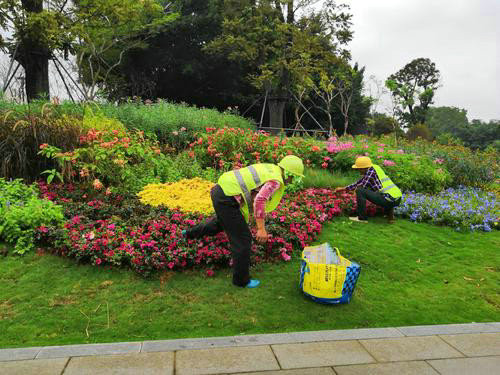 在園林綠化養(yǎng)護(hù)過程中哪些地方容易被忽略？